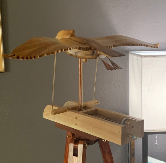 Pelican in Flight