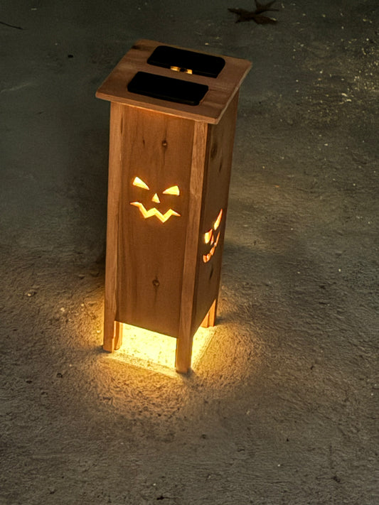 Walkway light